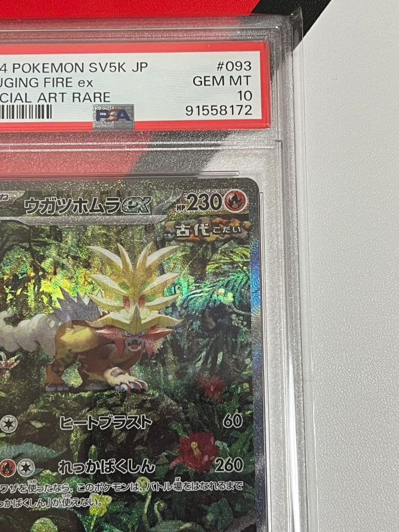 ウガツホムラSAR　PSA10　ワイルドフォース