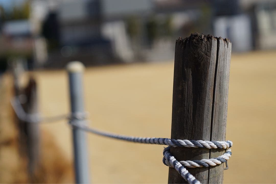 Micro-Nikkor 5.5cm F3.5 激レア　作例あり