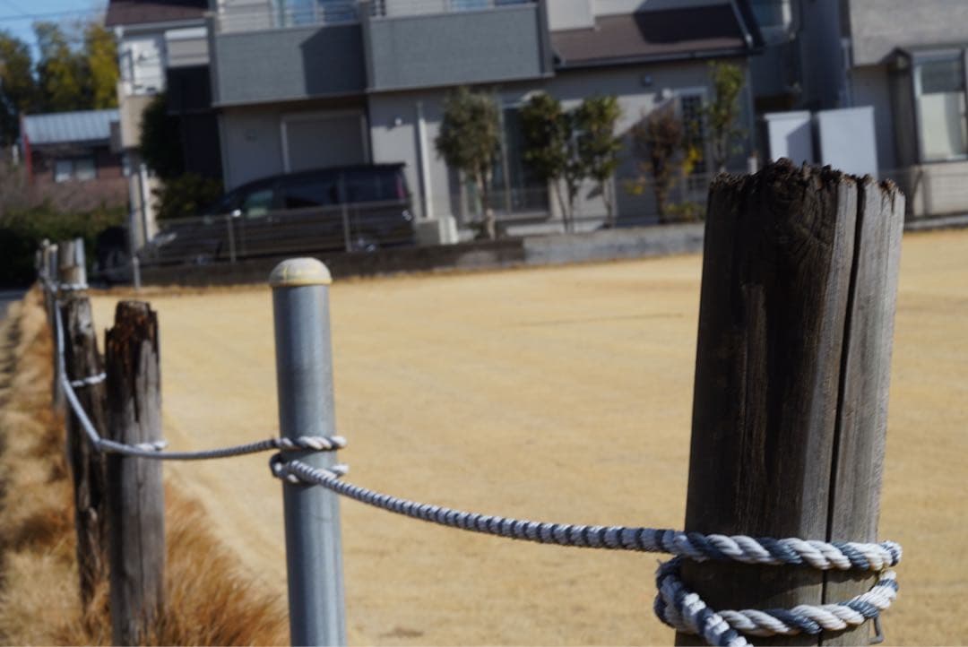 Micro-Nikkor 5.5cm F3.5 激レア　作例あり