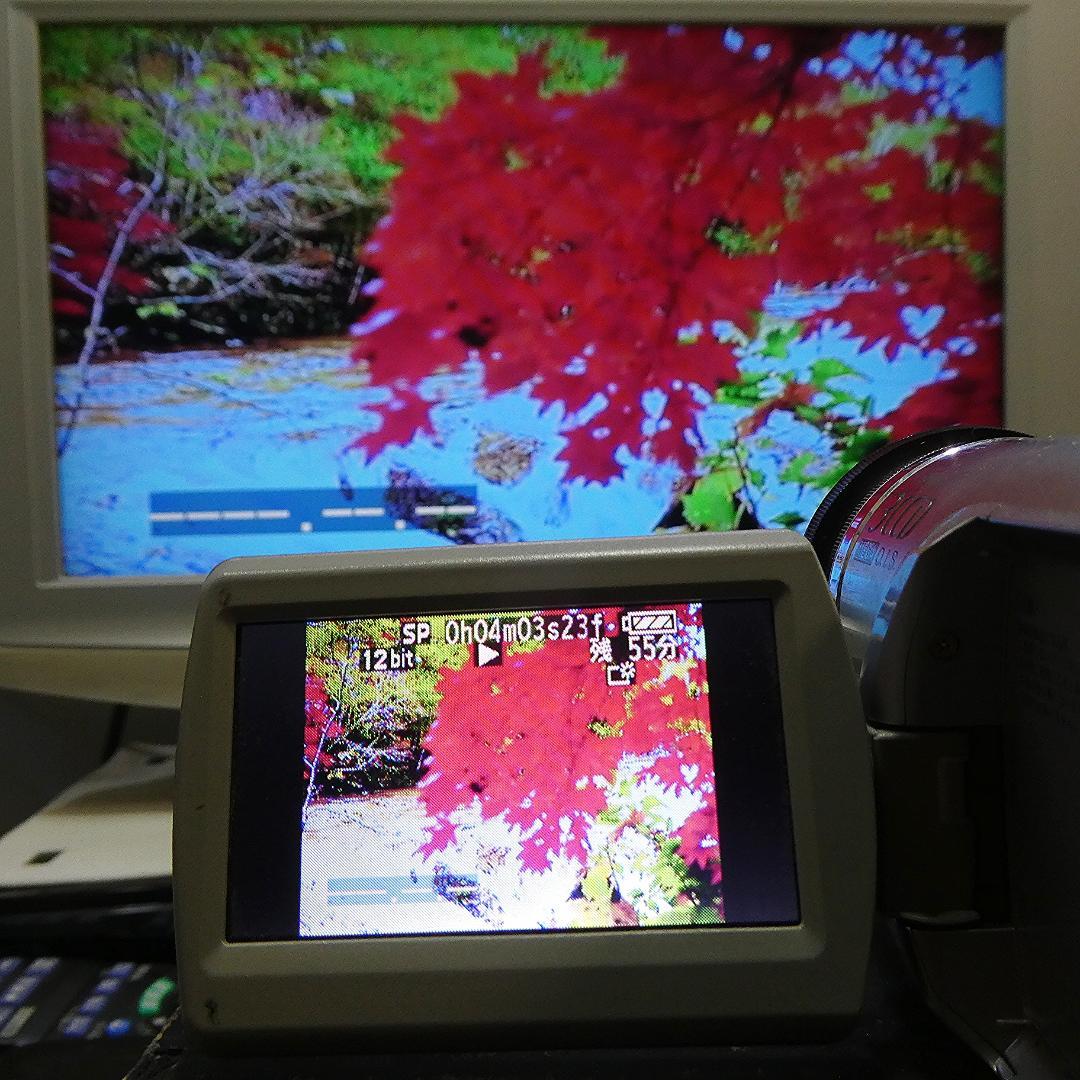 動作良好 パナソニック NV-GS300 MiniDVビデオカメラDVD化に最適