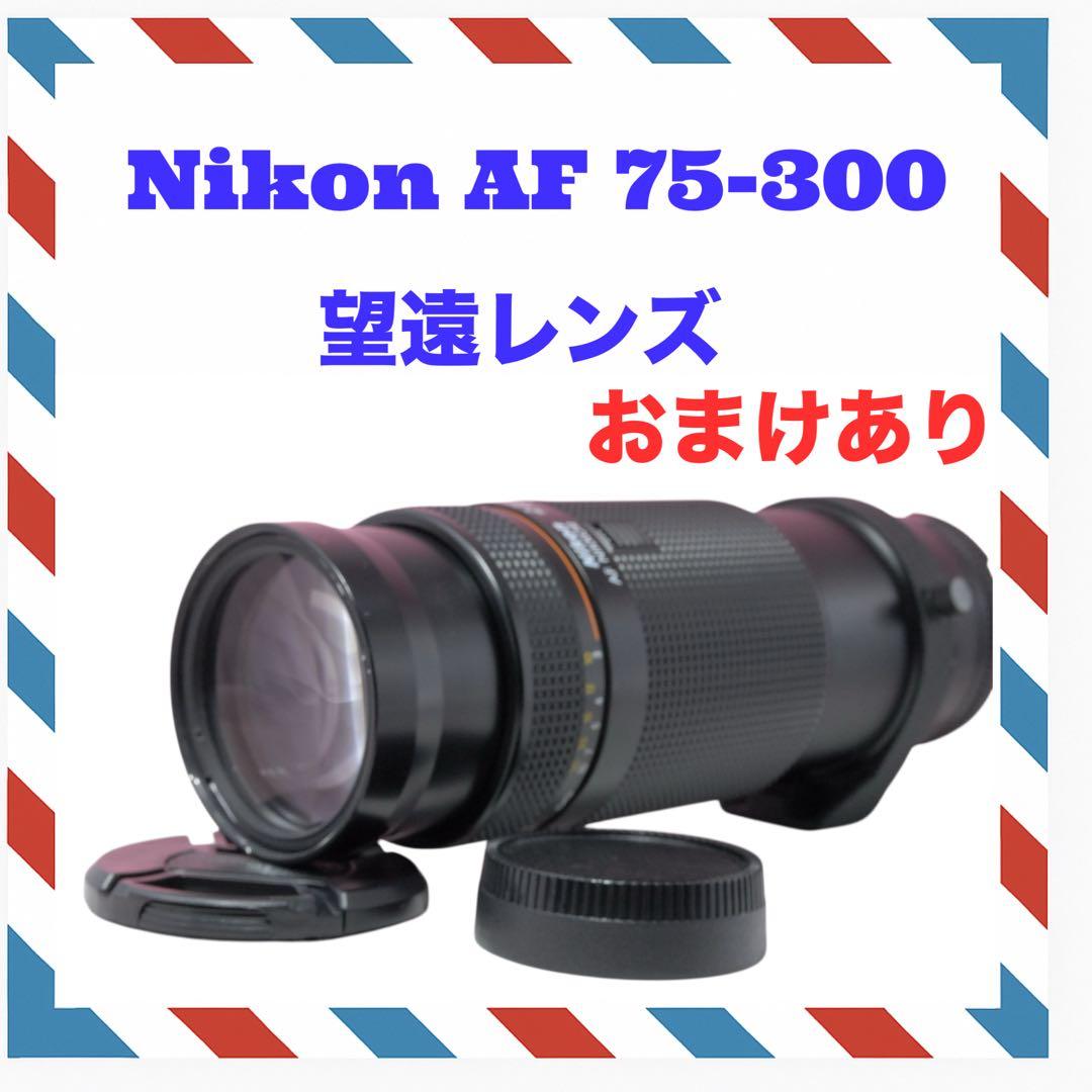 Nikon AF 75-300mm F4.5-5.6 望遠レンズ　運動会　紅葉