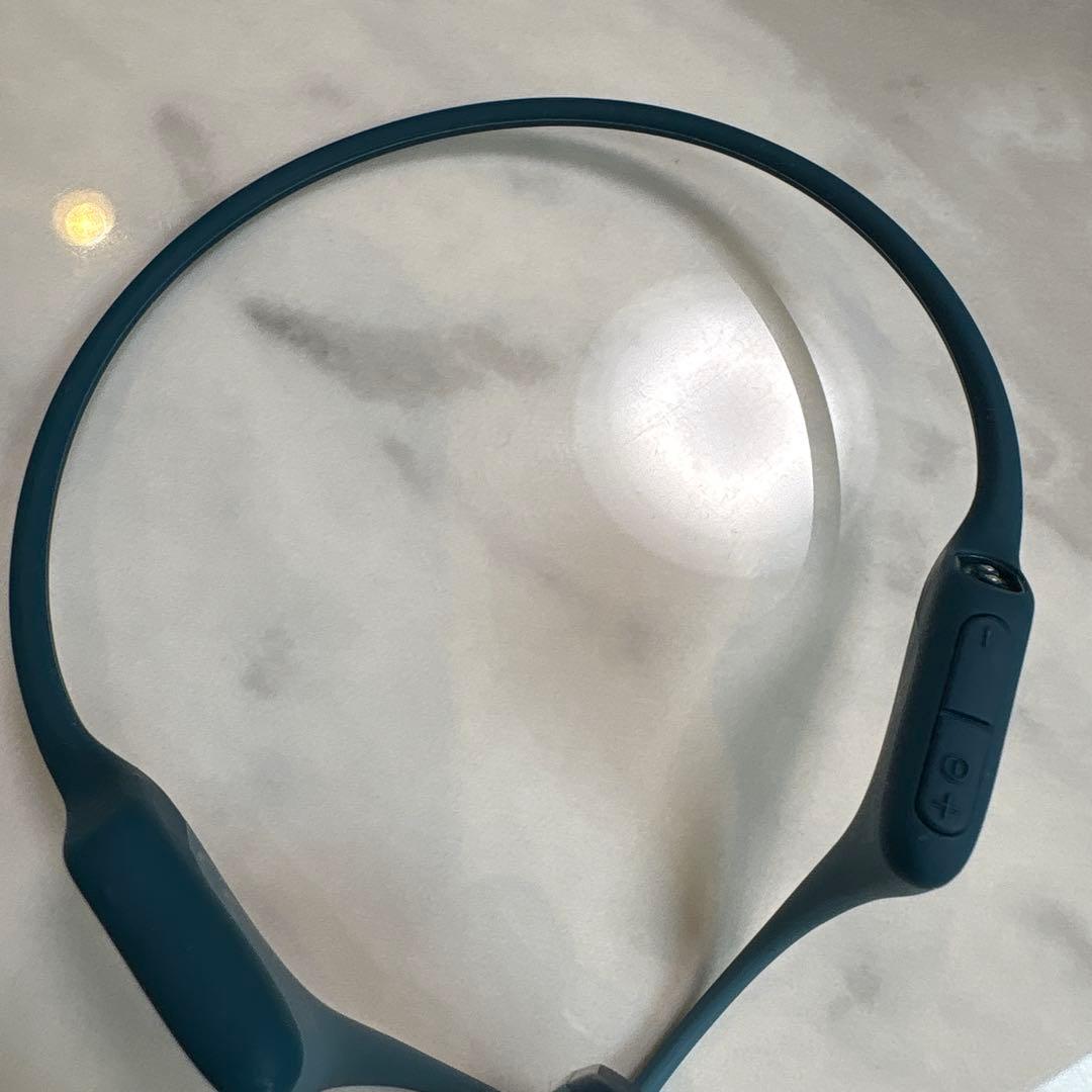 イヤホン SHOKZ OPENRUN PRO s810