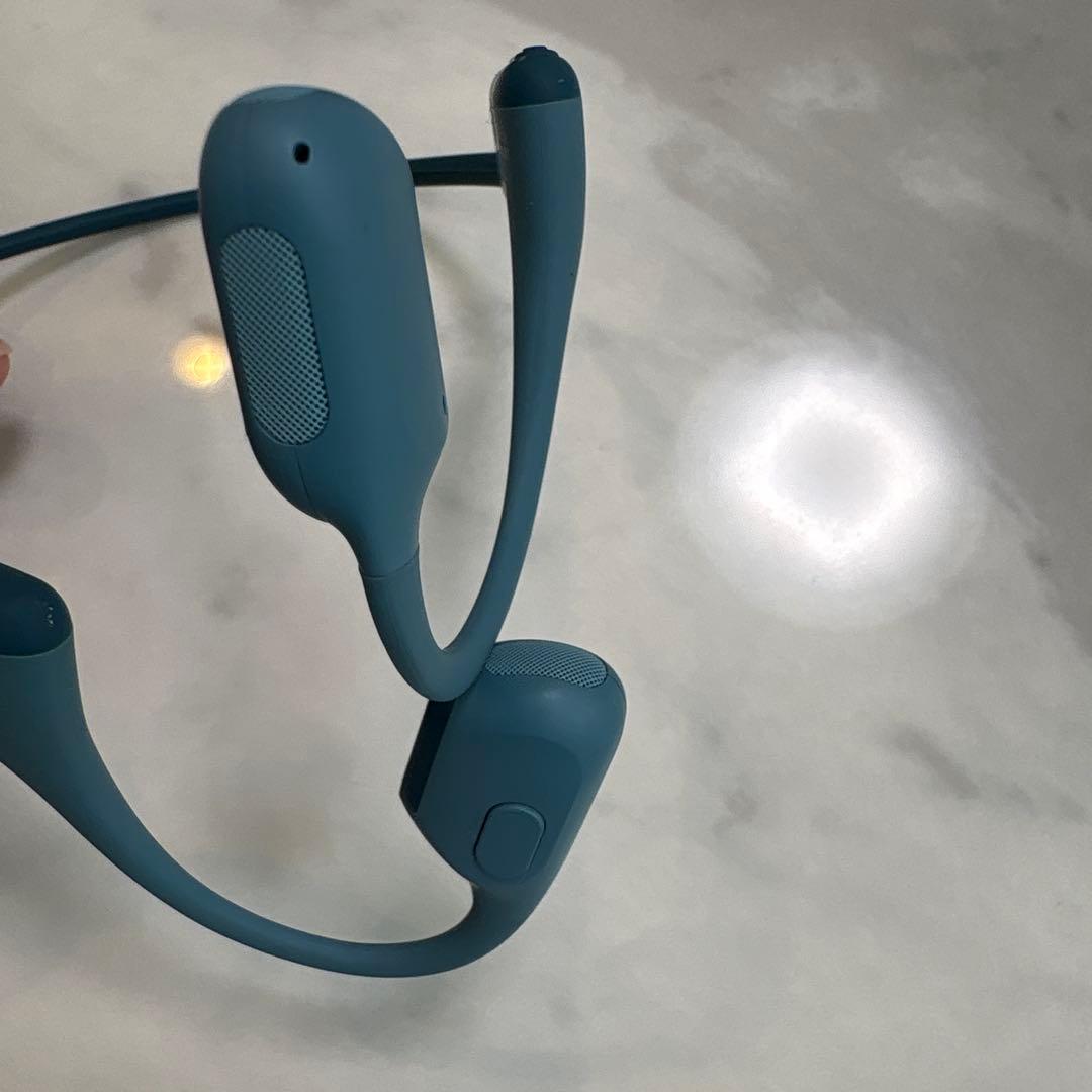 イヤホン SHOKZ OPENRUN PRO s810