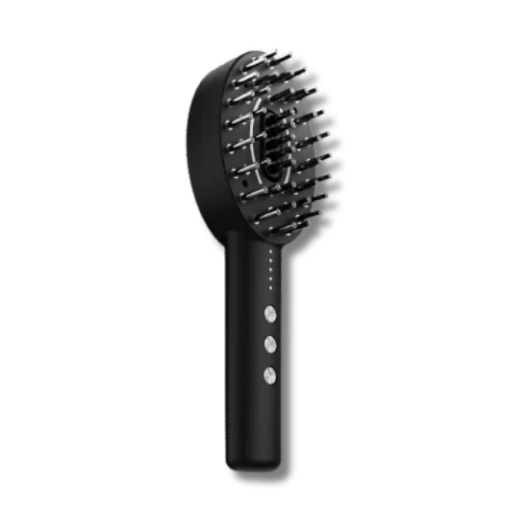 【値下中】NIPLUX EMS CARE BRUSH 美顔器NP-ECB24BK