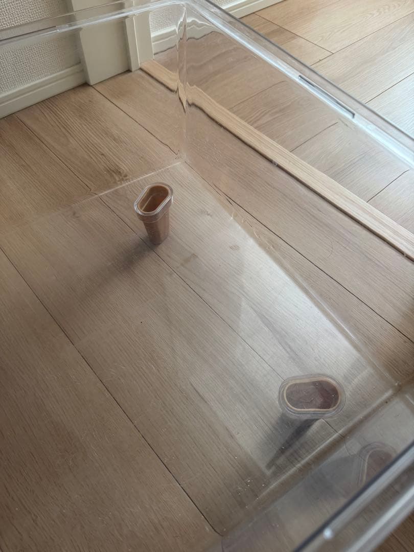 BUCATSTATE ケージ セット