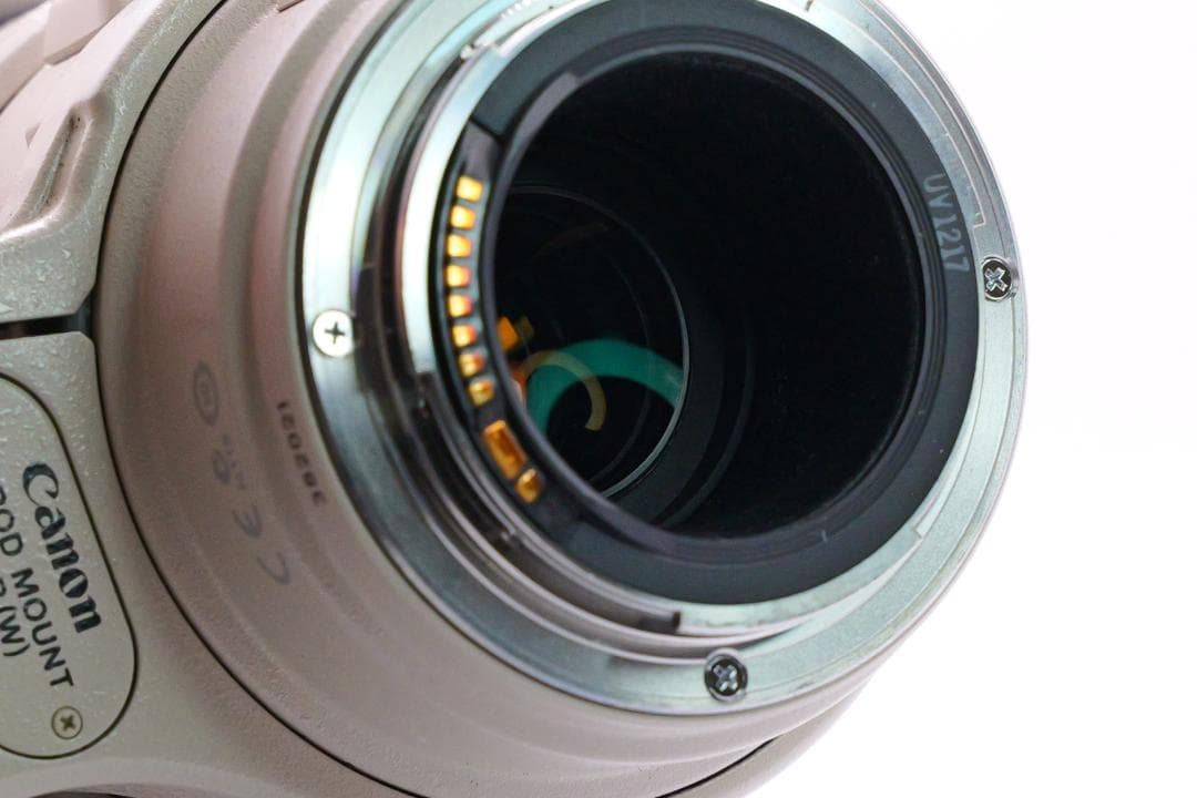 【たかのすけ】 CANON EF100-400mm L IS USM