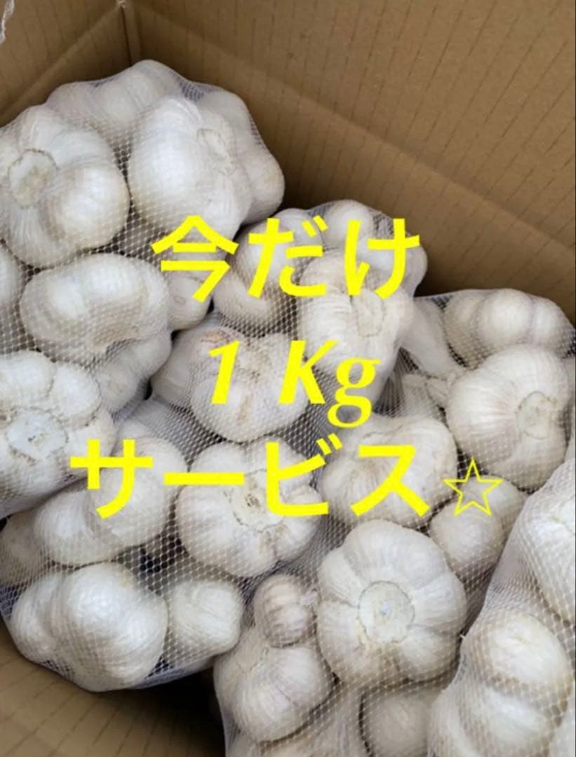 新物　青森県にんにく6キロML