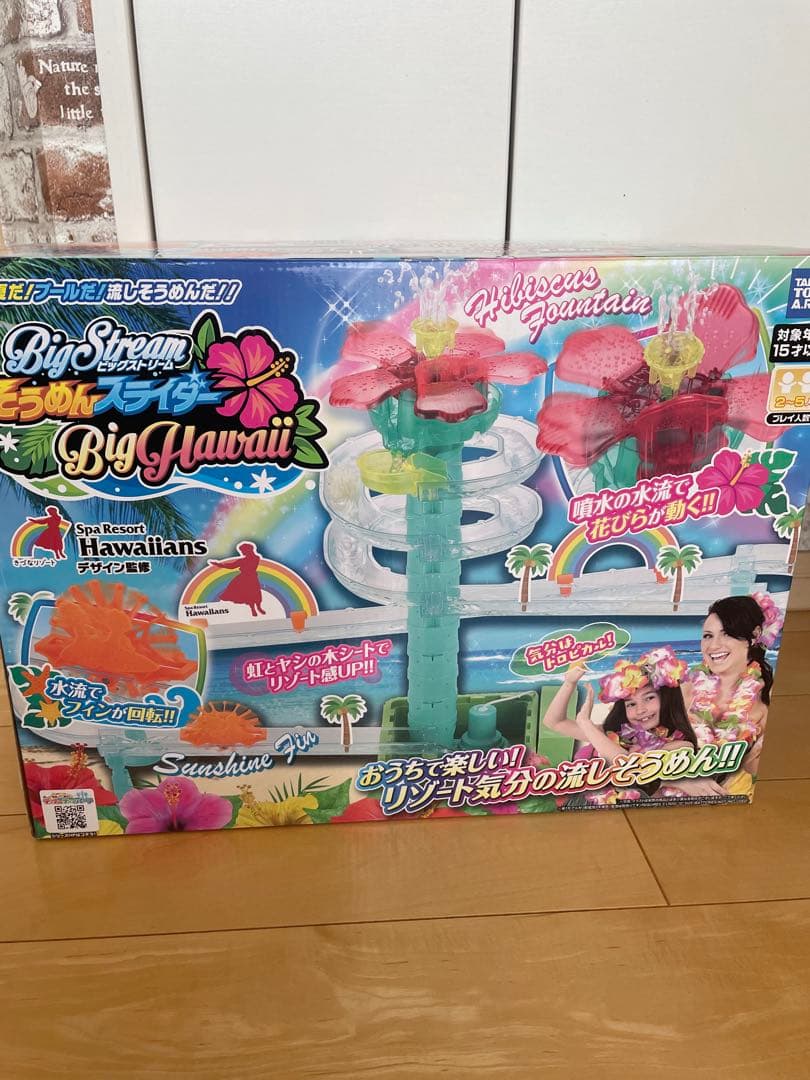 ビッグストリーム そうめんスライダー ビッグハワイ　流しそうめん