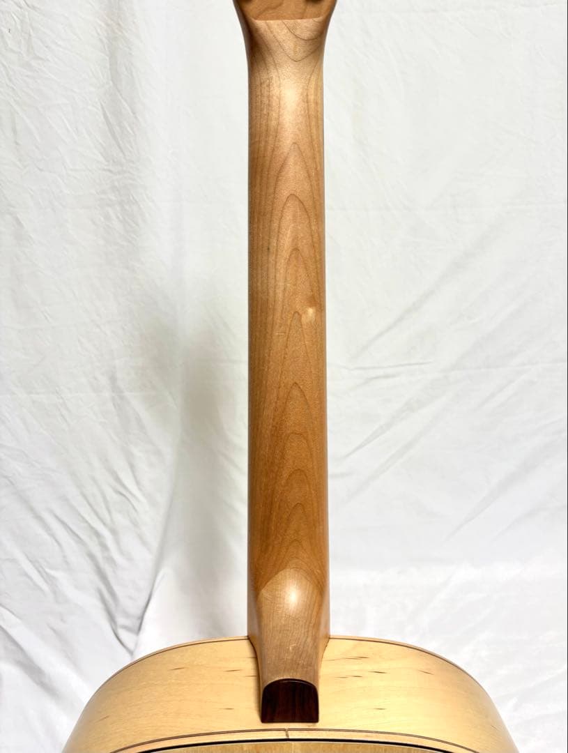 【新品弦張替済】Seagull エレアコ Amber Trail SG T35