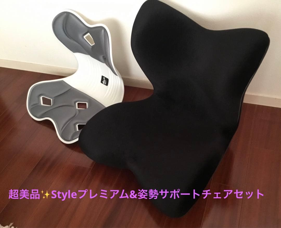 超美品✨MTG Style PREMIUM DX&姿勢サポートチェア　2個セット