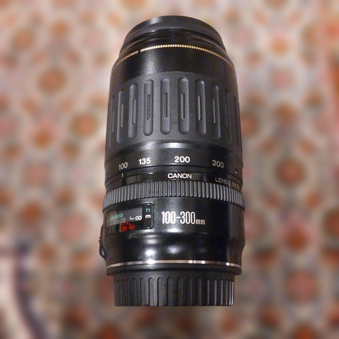 Canon 100-300mm ウルトラソニック ズームレンズ