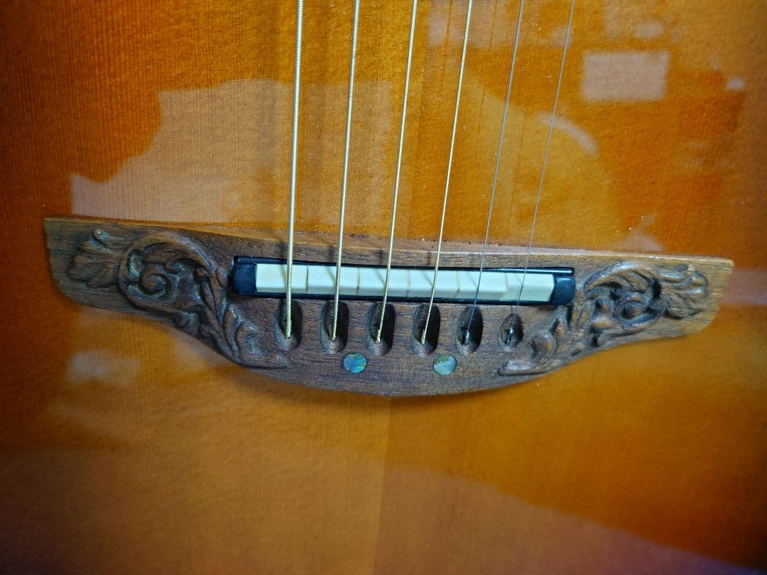 オベーション Custom Legend 1869-1