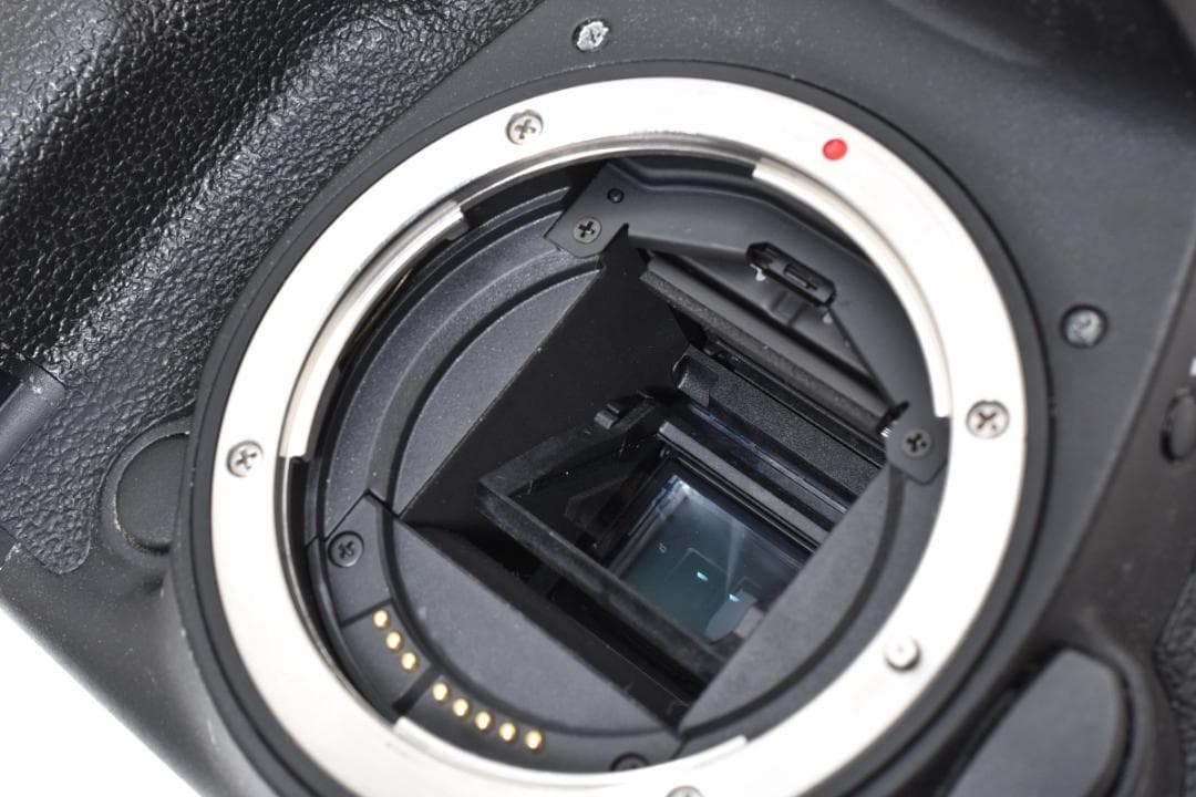 キヤノン　Canon EOS 7D Mark II #Y14J261-20