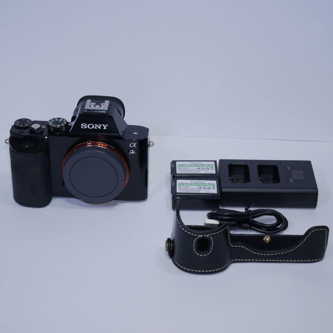 SONY α7S ILCE-7S ボディ ショット回数44,000回