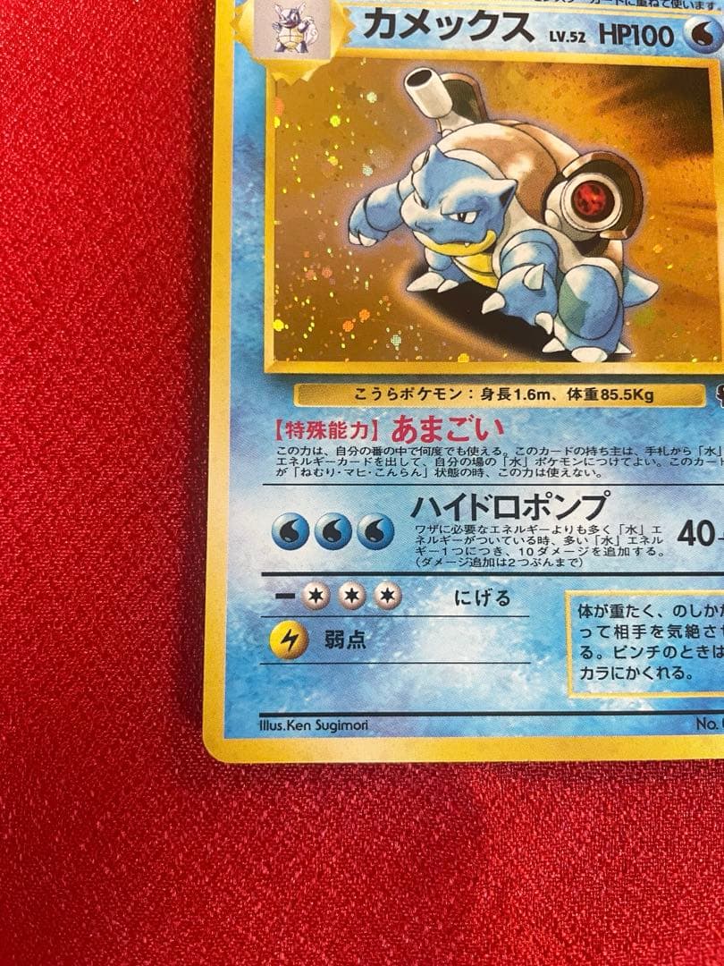 【美品-希少】イントロパック フシギバナ カメックス 計２枚 ポケモンカード旧裏