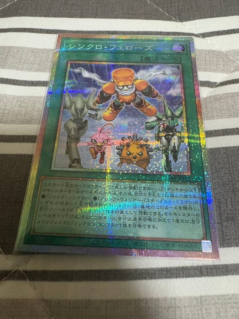 シンクロフェローズ　プリシク