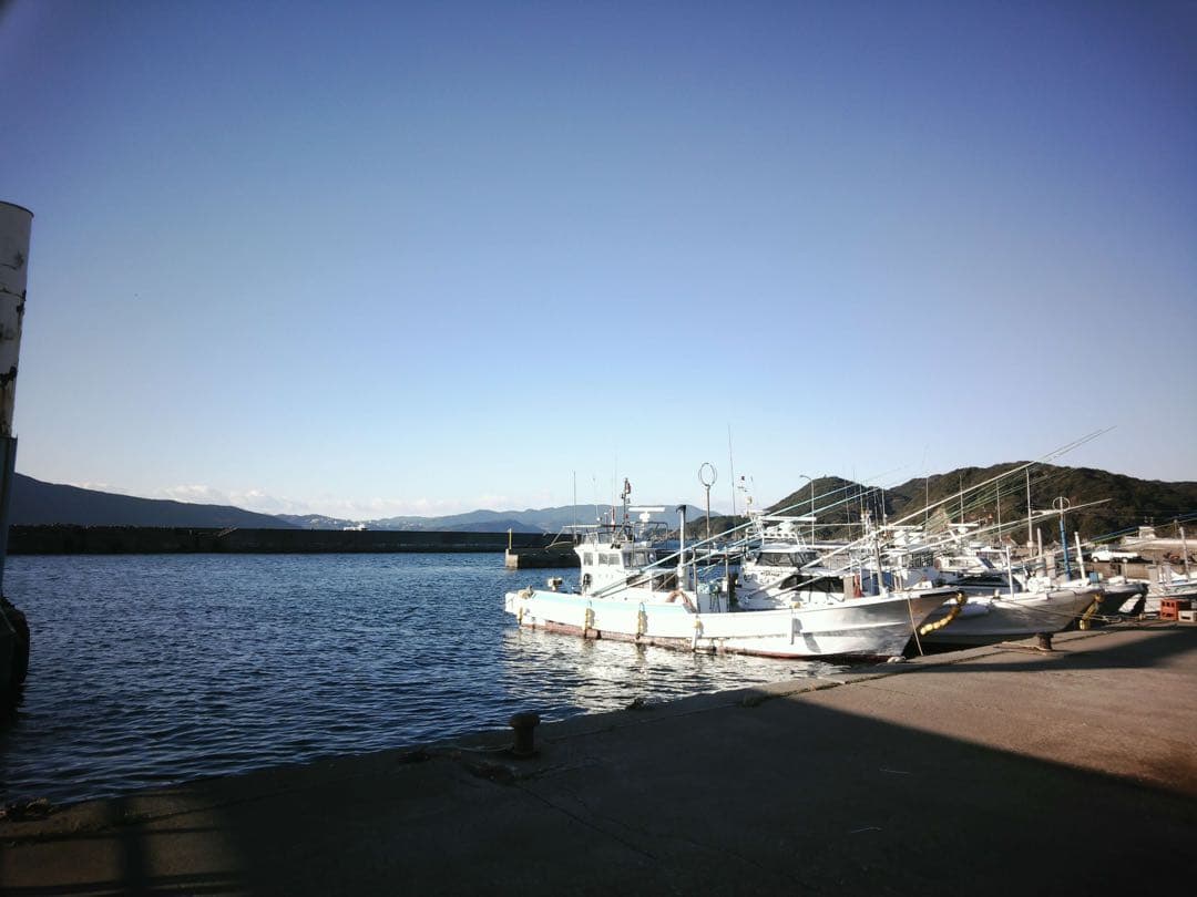 ペーパーシュートカメラ　papershoot camera