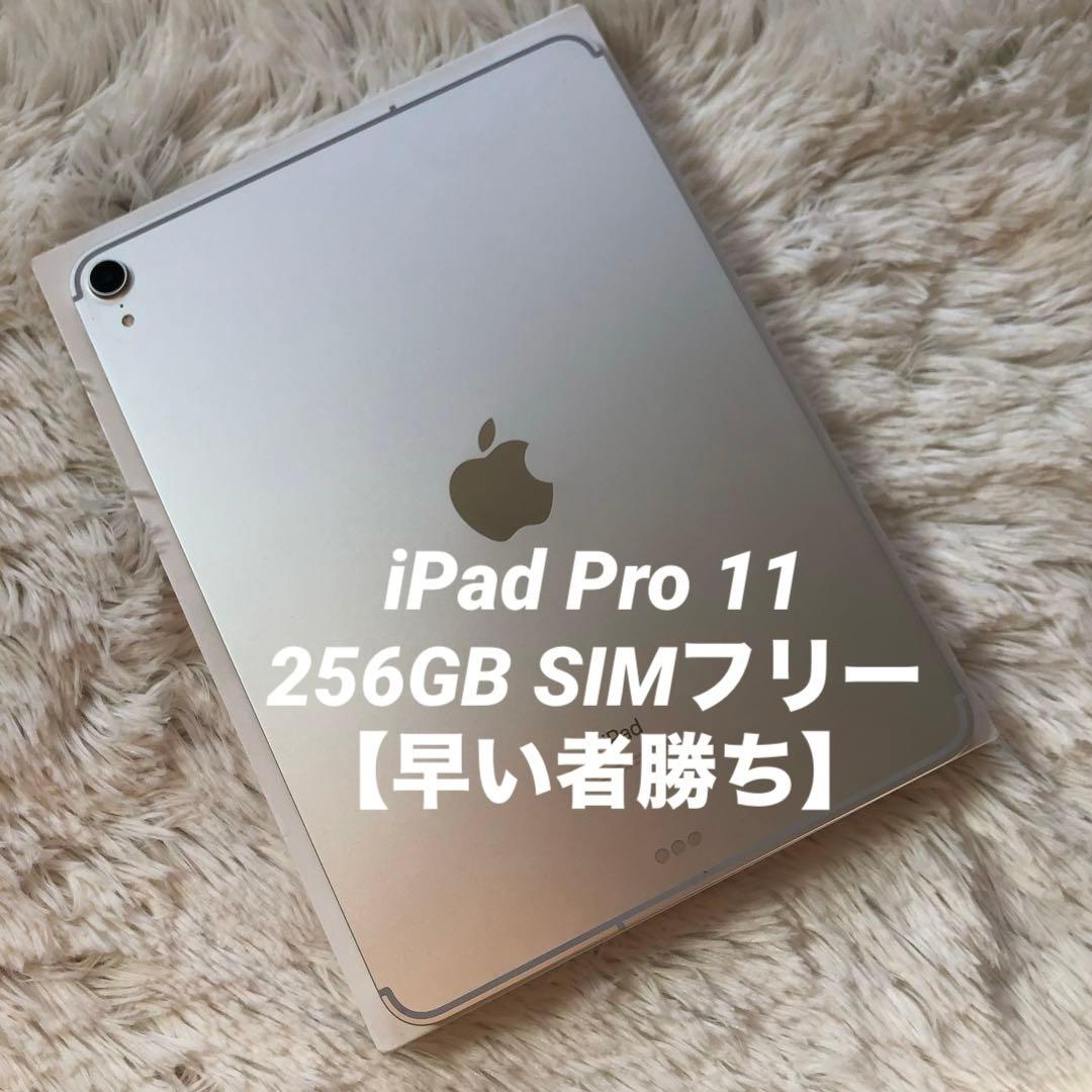 【完動品】iPad Pro 11 第1世代 256GB SIMフリー 【発送】