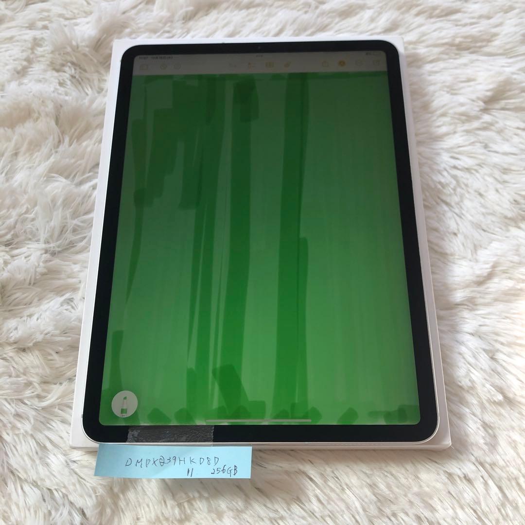 【完動品】iPad Pro 11 第1世代 256GB SIMフリー 【発送】