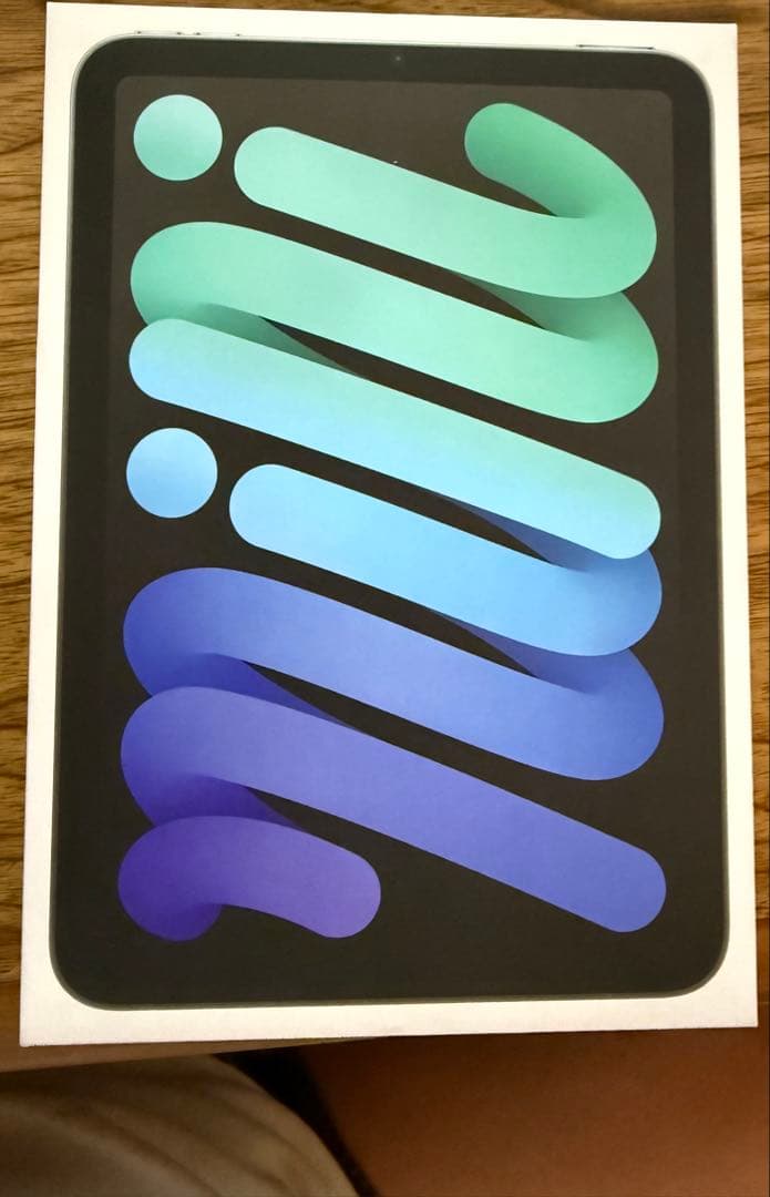 未開封iPad mini A17 Pro[256GB]Wi-Fi スペースグレイ