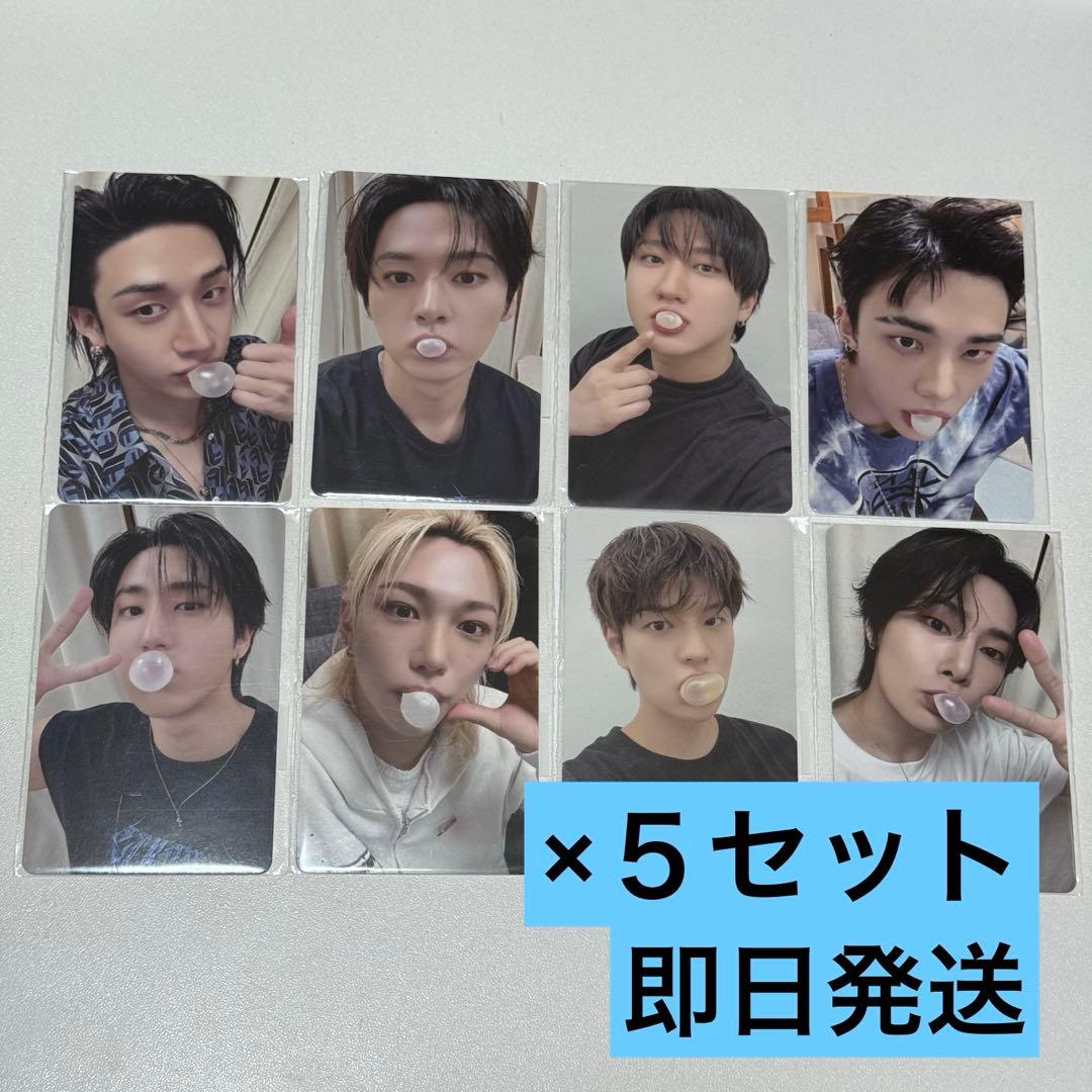 StrayKids スキズ FANS ヨントン トレカ コンプ 5セット