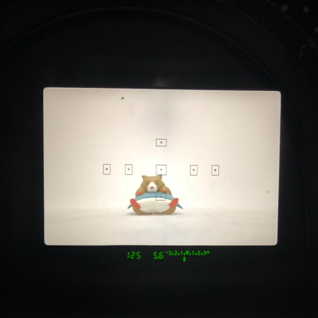 【C6759】Canon キヤノン EOS kiss 7 フィルム 一眼レフ