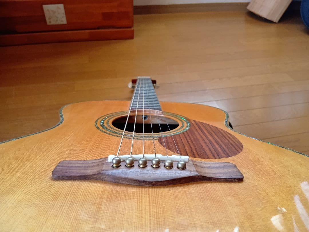 ギター Greg Bennett