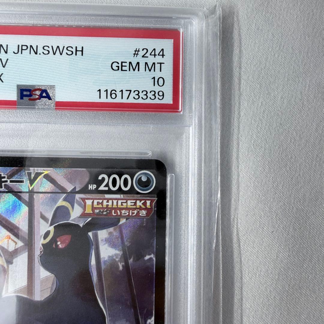 PSA10 ブラッキーV CSR S8b VMAXクライマックス 244/184