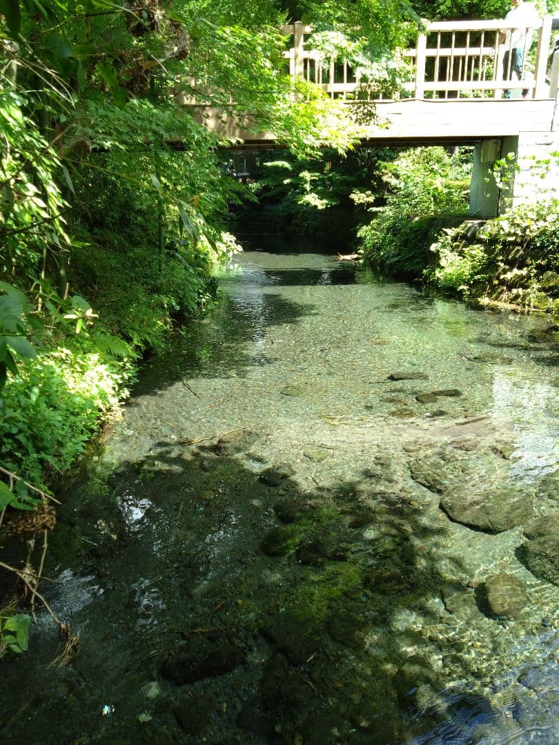 2 R7年 自然栽培米 2品種食べ比べセット10kg（5kg×2）玄米 セット