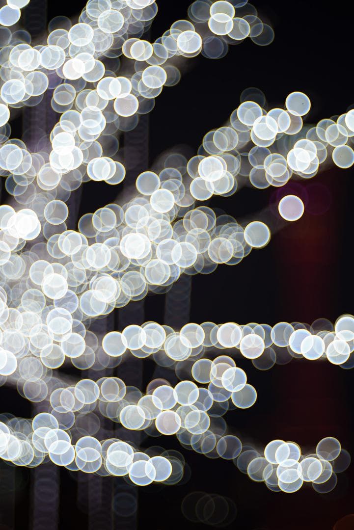 美品！イルミにバブルボケ！Trioplan 100mm F2.8 SONY用