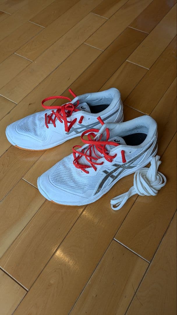 バレーボールシューズ ローテジャパンライト 限定カラー 25.0cm