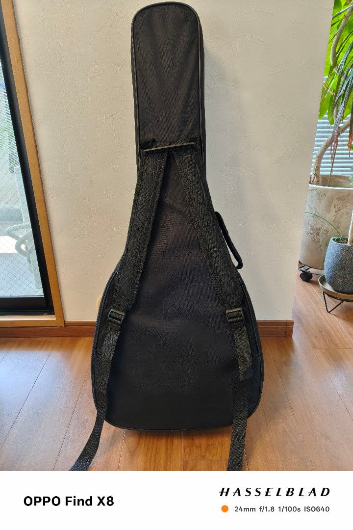 アヌエヌエ aNueNue Bird Guitar aNN-M1