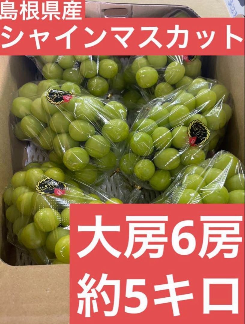 ② 【島根県産】シャインマスカット約5キロ 大房の6房