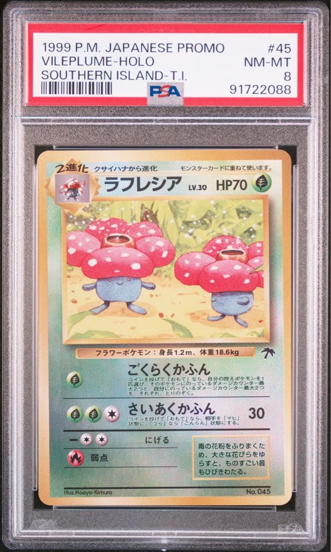 PSA8 旧裏　ラフレシア　サザンアイランド