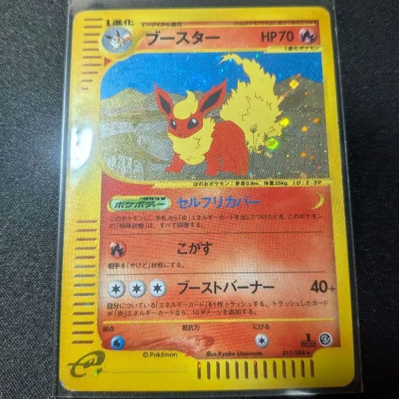 ブースター ★ 拡張パック第4弾 裂けた大地 017/088 キラ　eガード