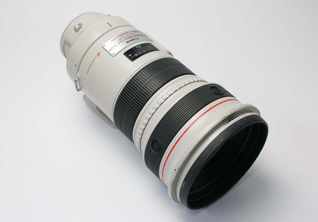憧れのサンニッパ☆EF300mm F2.8L IS USM 大谷翔平撮影レンズ