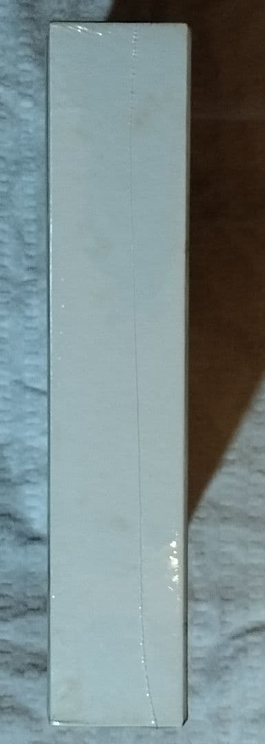 2*0様 訳あり品　SMILE THE BEACH BOYS SESSIONS