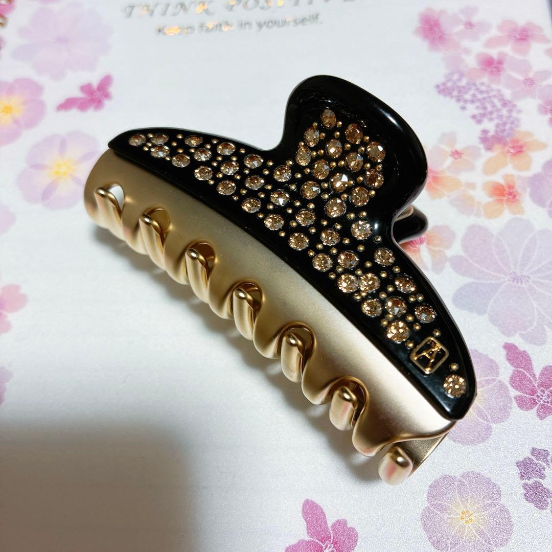 ALEXANDRE DE PARIS VENDOME M クリップ