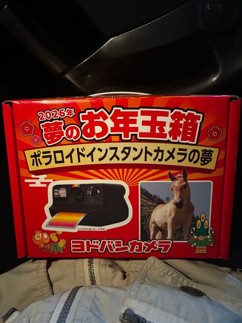 あ*認様 ヨドバシカメラ　夢のお年玉箱　ポラロイドインスタントカメラの夢