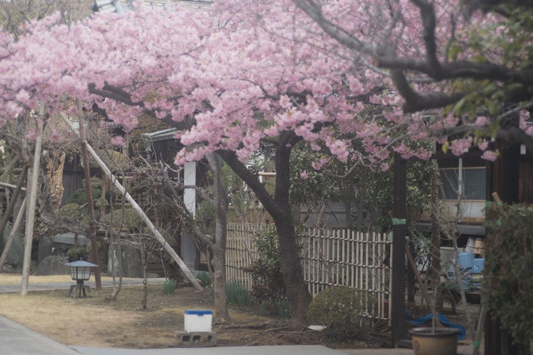 ライカ TELE-ELMARIT 90mm F2.8 製