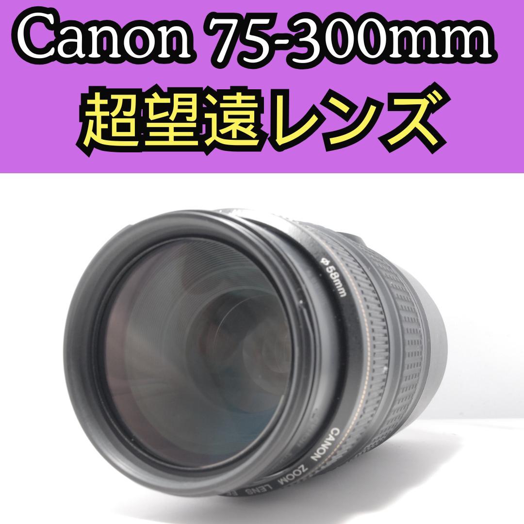 美品　Canon EF 75-300mm 1:4-5.6 IS 望遠レンズ