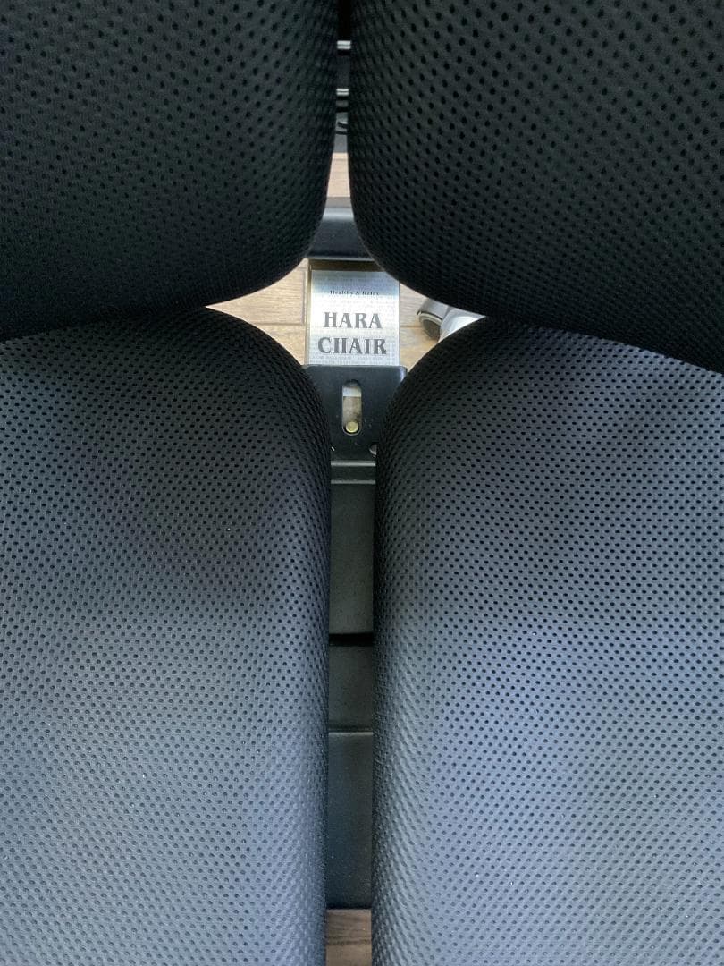 【腰痛緩和】HARA CHAIR ハラチェア Nietzshe ニーチェ　椅子