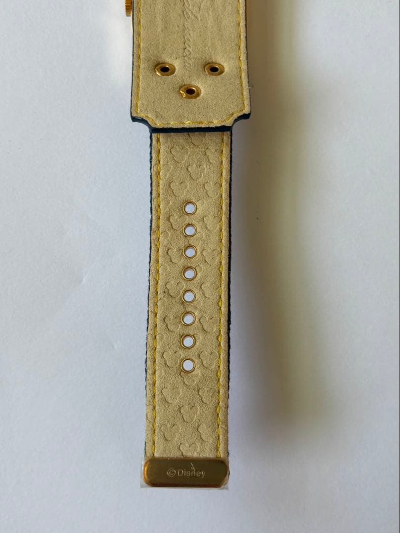 【希少】CABANEdeZUCCa×ミッキーマウス/腕時計 SEIKO