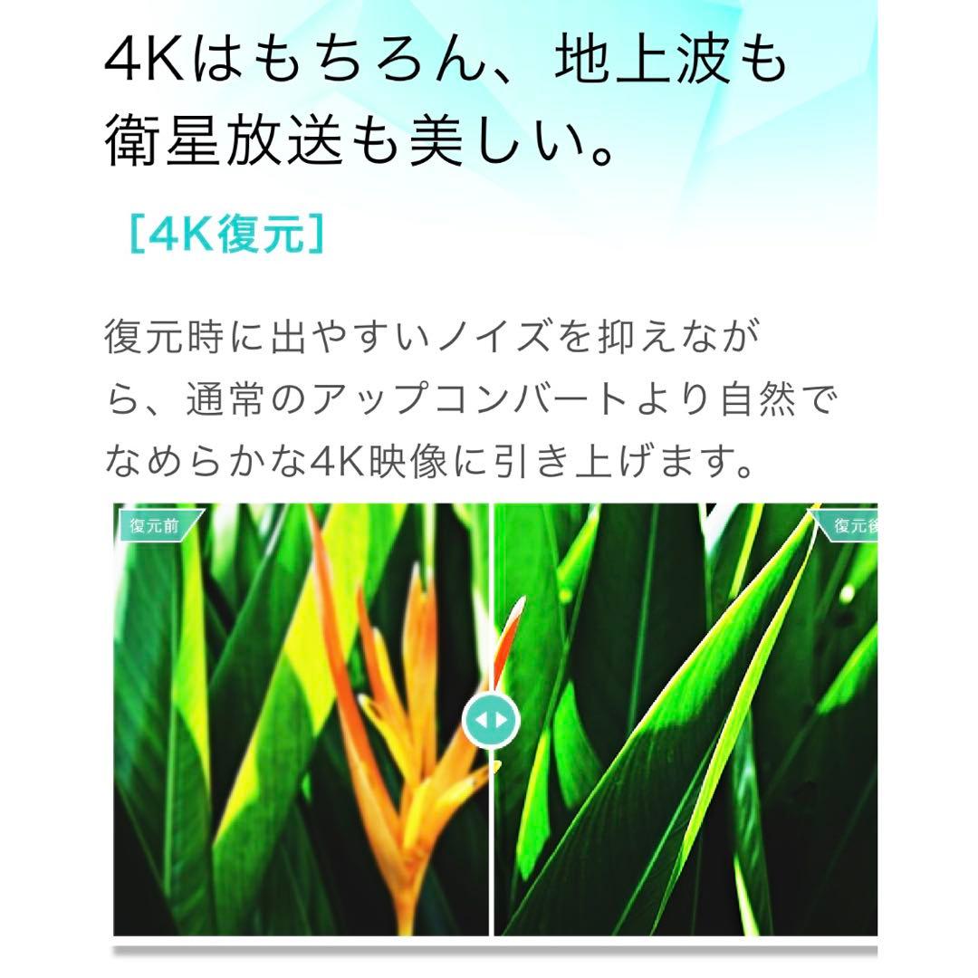 【極美品】※手渡し希望 ※発送も対応可能 65V型 液晶テレビ 65E6G