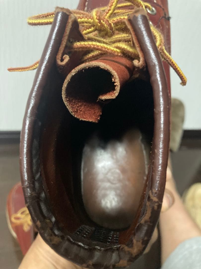 レッドウイング　 8131 アイリッシュセッター　サイズ9D