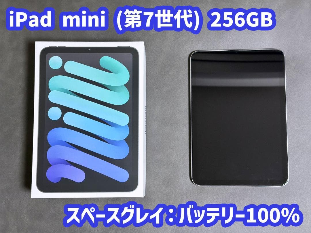 iPad mini A17 Pro Wi-Fi 256GB バッテリー100%