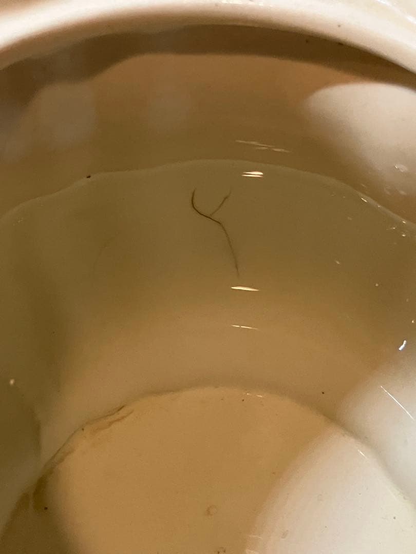 フランスアンティーク　￼サルグミンヌ　カフェポット　花リム