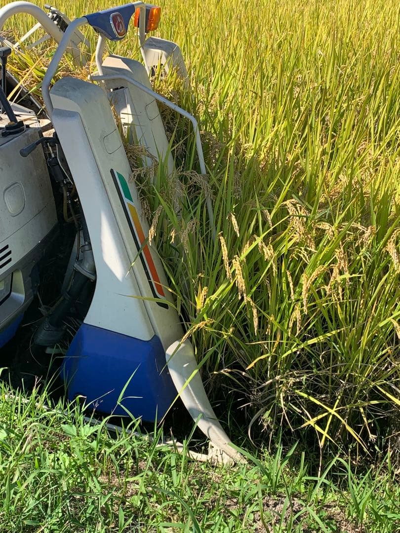 令和7年度産　新米ヒノヒカリ　10kg(玄米)送料込