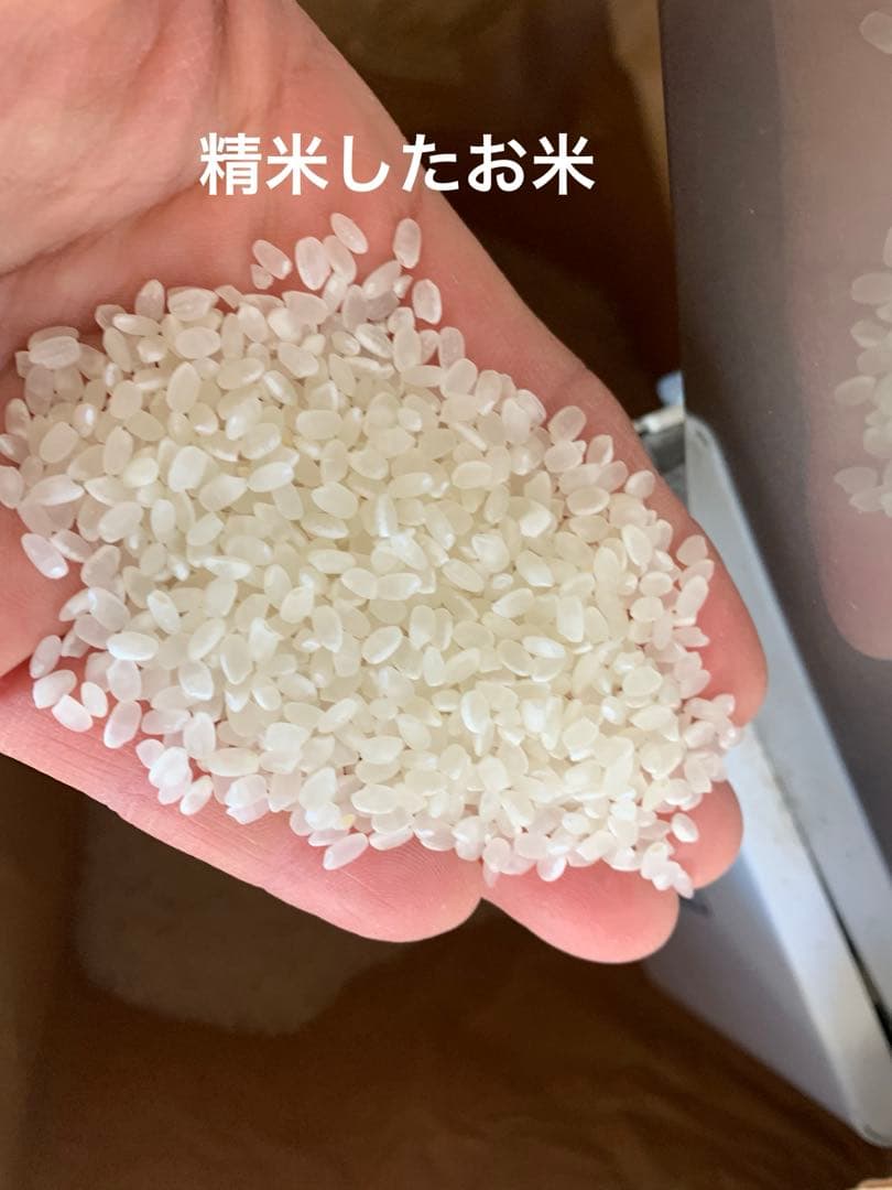 令和7年度産　新米ヒノヒカリ　10kg(玄米)送料込