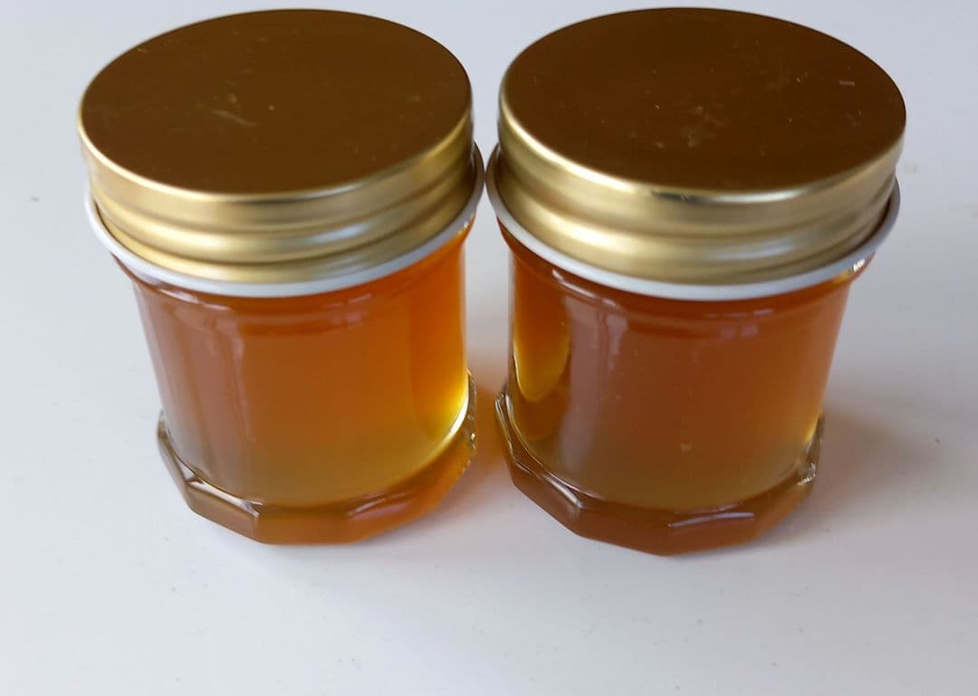 日本ミツバチ完熟蜂蜜（600g✕2）